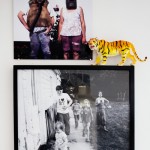 dosfamily-picture-wall-withtiger dosfamily-picture-wall-withtiger