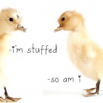 dosfamily-ducky