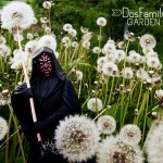 dosfamily-garden-starwars-guard1 dosfamily-garden-starwars-guard1