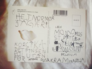 IMG_6378 IMG_6378