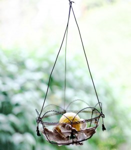 IMG_0735 IMG_0735