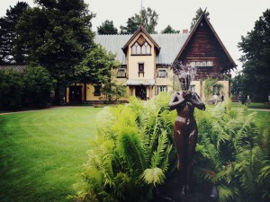 IMG_8233