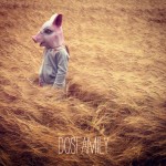 dosfamily-piginapoke