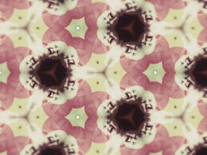 kaleidobeppe kaleidobeppe