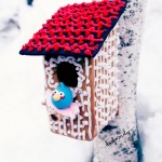 dosfamily-gingerbreadhpuse-angrybird