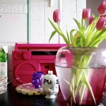 IMG_4216 IMG_4216
