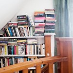 dosfamily-books-gone-wild