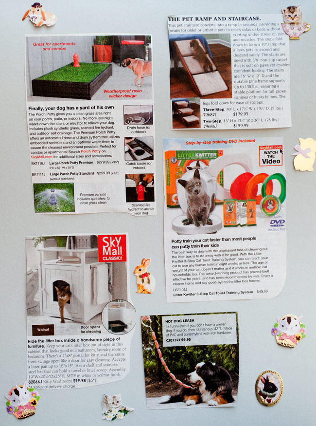 skymallcaresforpets