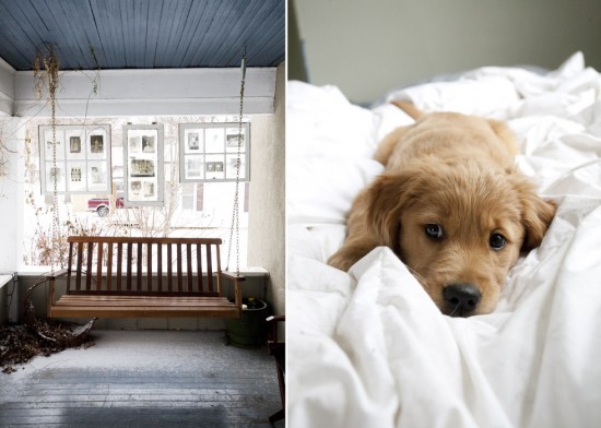 A porch swing and a puppy in an unmade bed