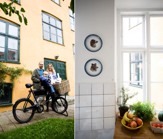 The family bike to the left and to the right dogs guarding the fruit