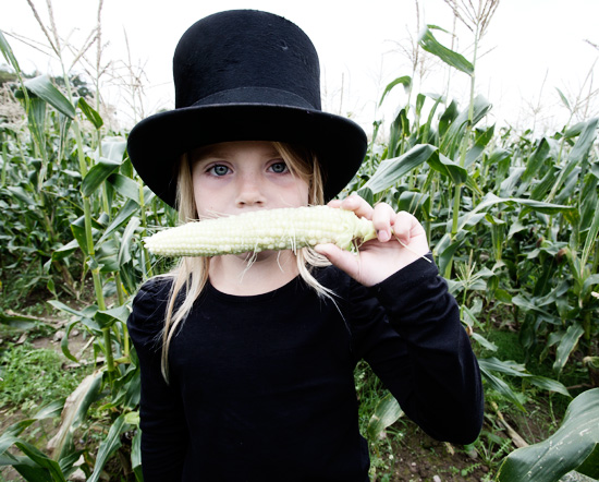 dosfamily-cornfield-ystad