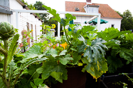 dosfamily-gardensoon3