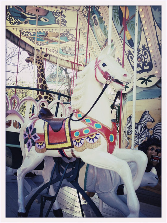 dosfamily-tivoli-horse