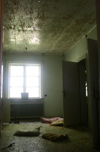 img_1597