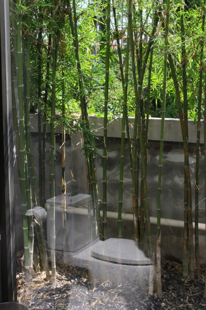img_6240 img_6240
