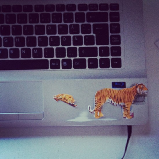 dosfamily-tiger